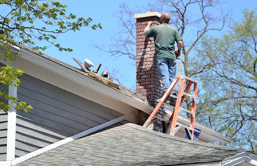 Chimney & Fireplace Inspections Services in Southfield, MI